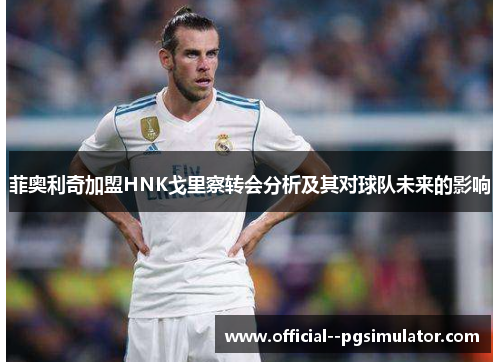 菲奥利奇加盟HNK戈里察转会分析及其对球队未来的影响