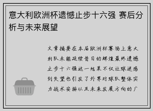 意大利欧洲杯遗憾止步十六强 赛后分析与未来展望
